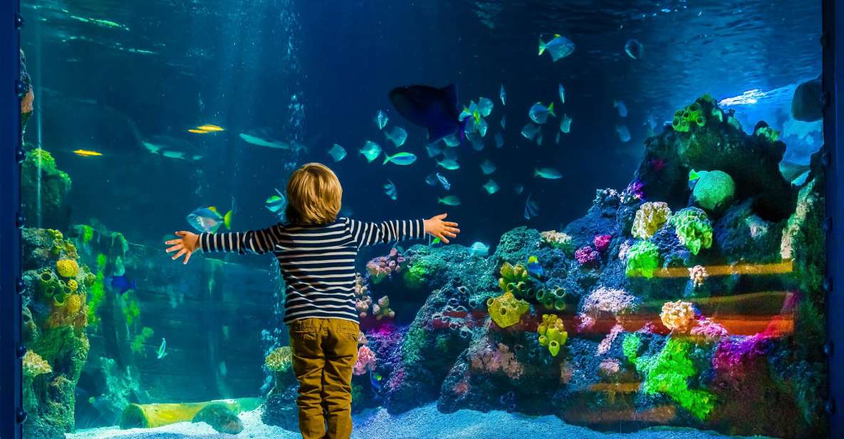 SEA LIFE Berlin Tickets - Educational Opportunities