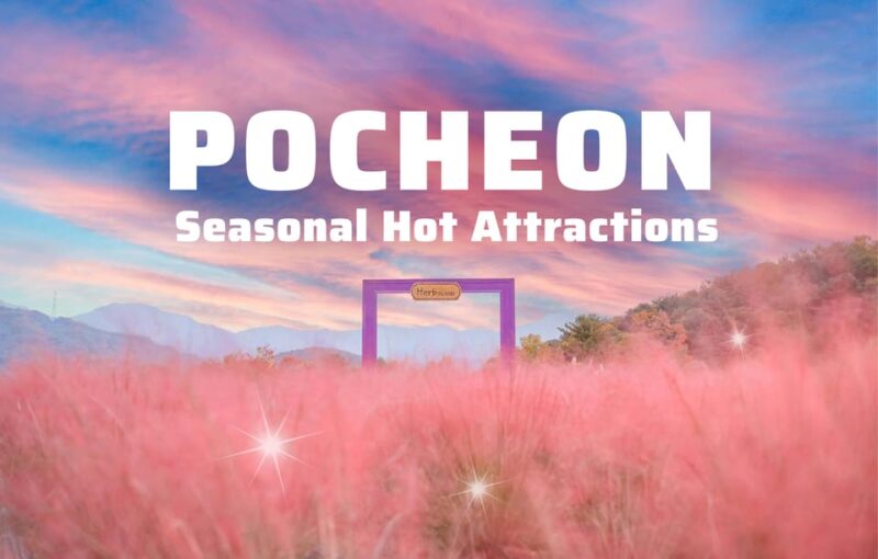 Seasonal Pocheon Full Day Tour With Apple Farm Experience - Natural Scenery and Experiences