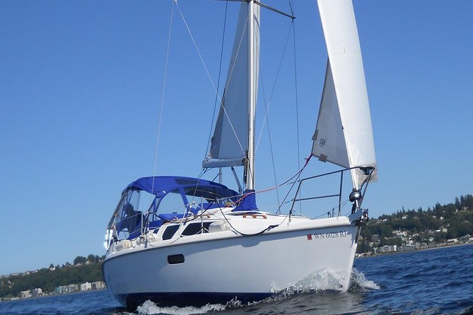 Seattles Best Private Sailing Adventure on the Puget Sound BYOB! - Wildlife Sightings on the Sound