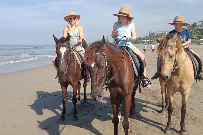 Seminyak Beach Horse Riding - Customer Feedback