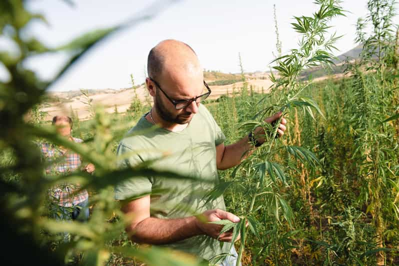 Sensory Walk With Lunch in the Caltagirone Countryside - Whats Included in the Package