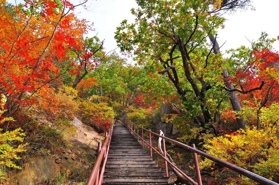 Seoraksan National Park Maple Leaves Tour_Cable Car Optional - Important Information