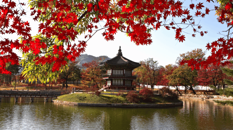 Seoul: 6 - Days Best Of Seoul - Iconic Views and Shopping