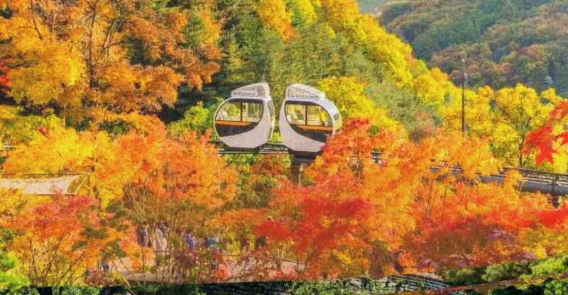 Seoul: Hwadam Forest & Namhansanseong & Folk Village Tour - Hwadam Forest Highlights