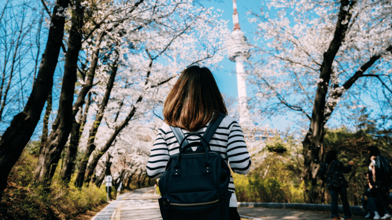 Seoul Korea 7 Day Sightseeing Tour Shopping & Street Food - Inclusions