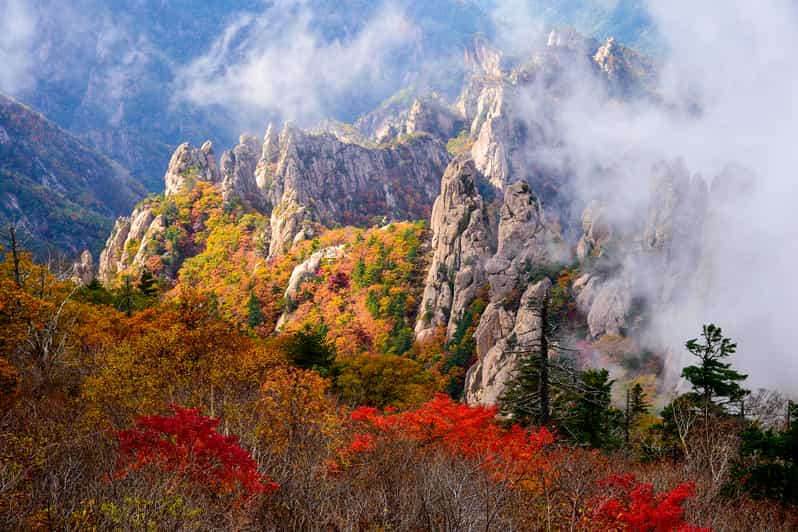 Seoul: Mt. Seorak National Park Autumn Foliage One Day Tour - Autumn Foliage Experience