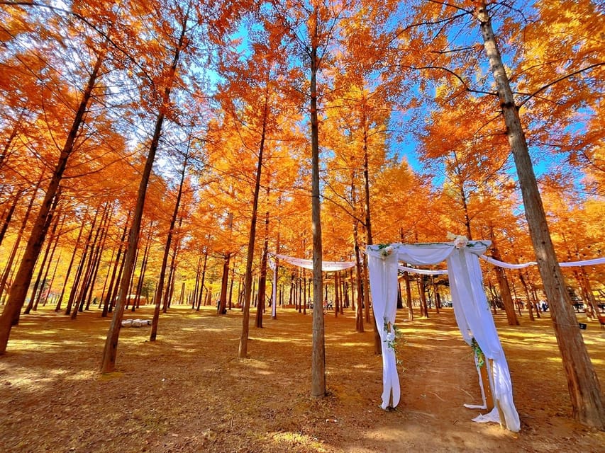 Seoul: Nijimori Japan(Day) & Nami Island & Korean Garden - Starting Locations