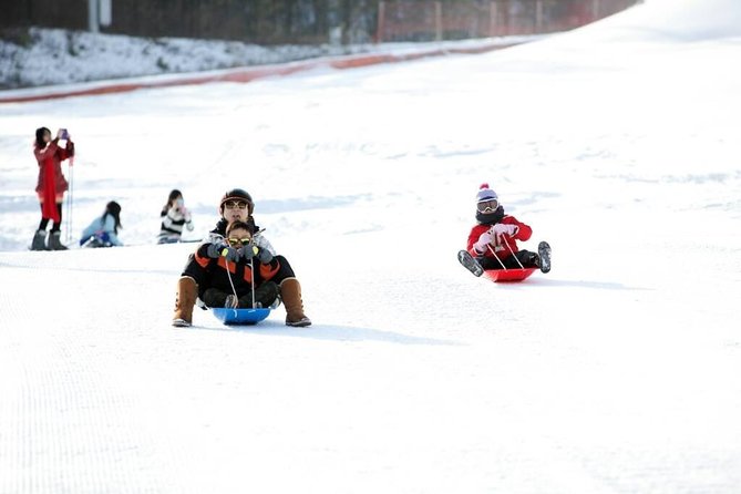 Seoul Ski Tour at Jisan Forest Resort - Pricing and Booking Information