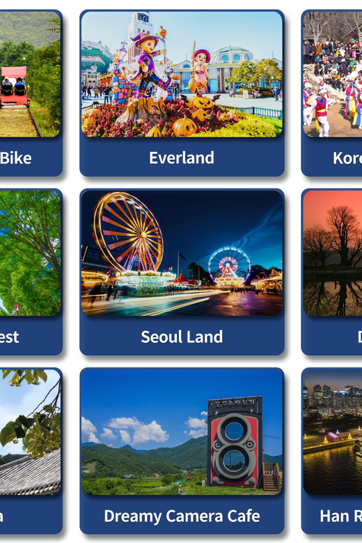 Seoul Subrub: 9HR Car Charter Tour - Driver and Communication
