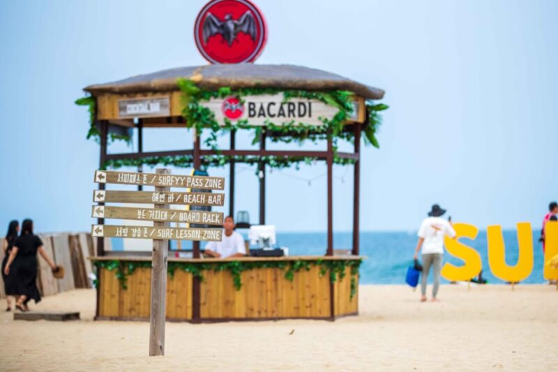 Seoul: Yangyang Surfyy Beach One Day Tour From Seoul - Inclusions