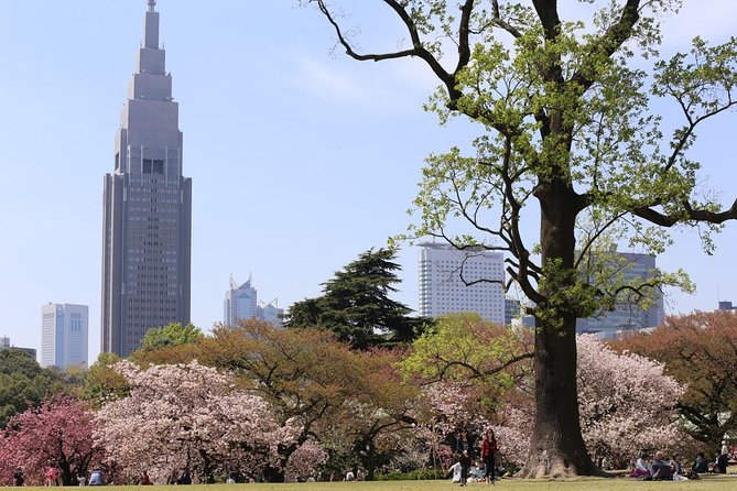 Shared Arrival Transfer : Narita International Airport to Hotel (Central Tokyo) - Customer Reviews