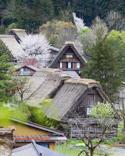 Shirakawago -Takayama One Day Tour - Shirakawa-go Experience