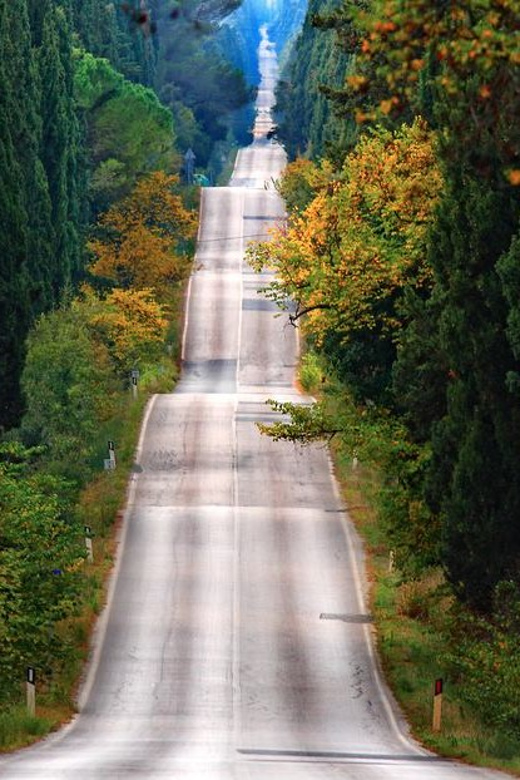 Shore Trip From La Spezia: Pisa,Lucca,Lunch & Tasting Winery - Exploring Pisa