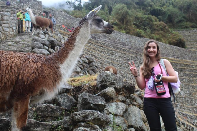 Short Inca Trail to Machu Picchu (2D-1N) - Arrival at Wiñay Wayna and Sun Gate