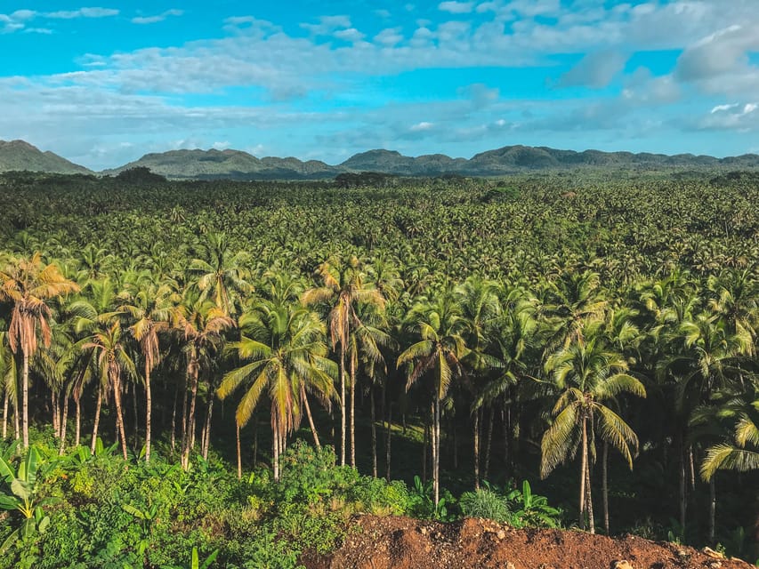 Siargao Tour D (Private Tour) - Inclusions