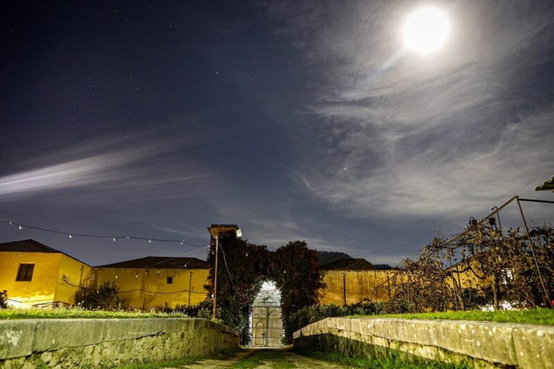Sicilian Cooking Class in the Historic Baglio Florio Adamo - Dish Preparation