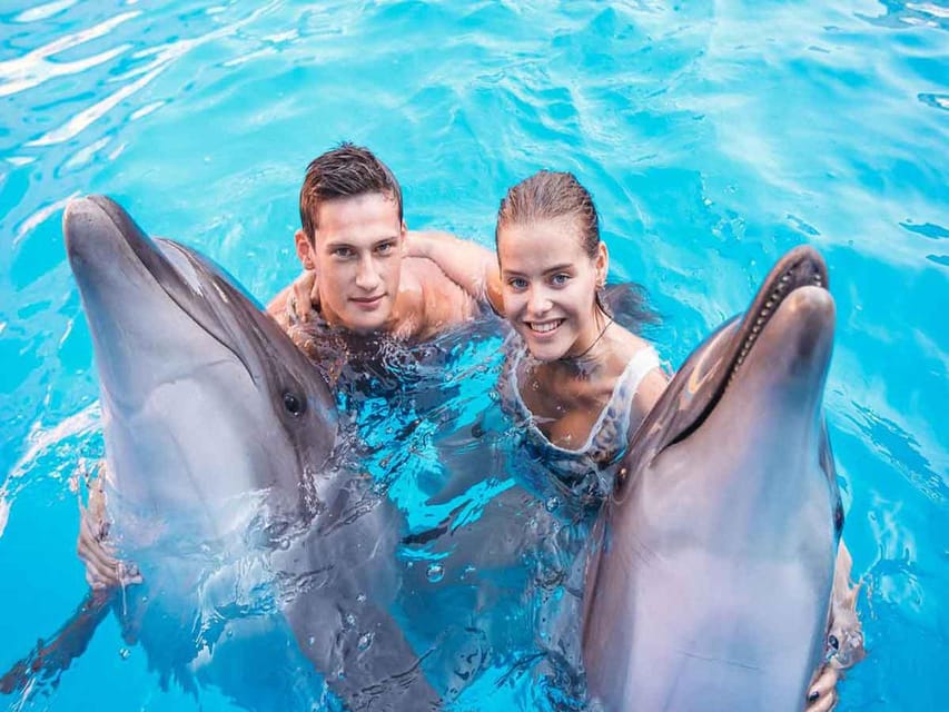 Side/Alanya: Swimming With Dolphins - Itinerary and Travel Details