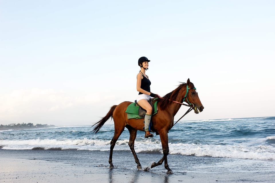 Side: Horseback Riding Tour in Nature With Transfer - Participation Guidelines