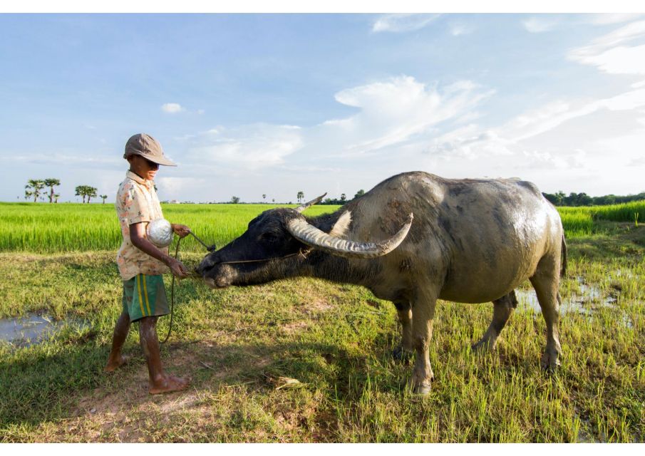 Siem Reap: Afternoon Cooking Class & Village Tour - Highlights of the Class