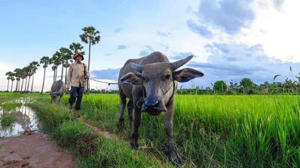 Siem Reap: Guided Countryside Sunset Tour by Jeep - Tour Features