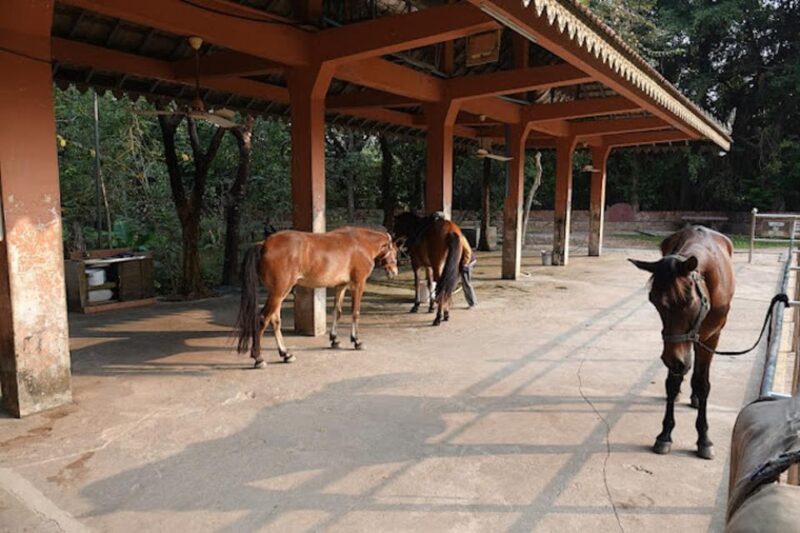 Siem Reap Happy Horse Riding Free Pick-up & Drop-off - Inclusions and Exclusions
