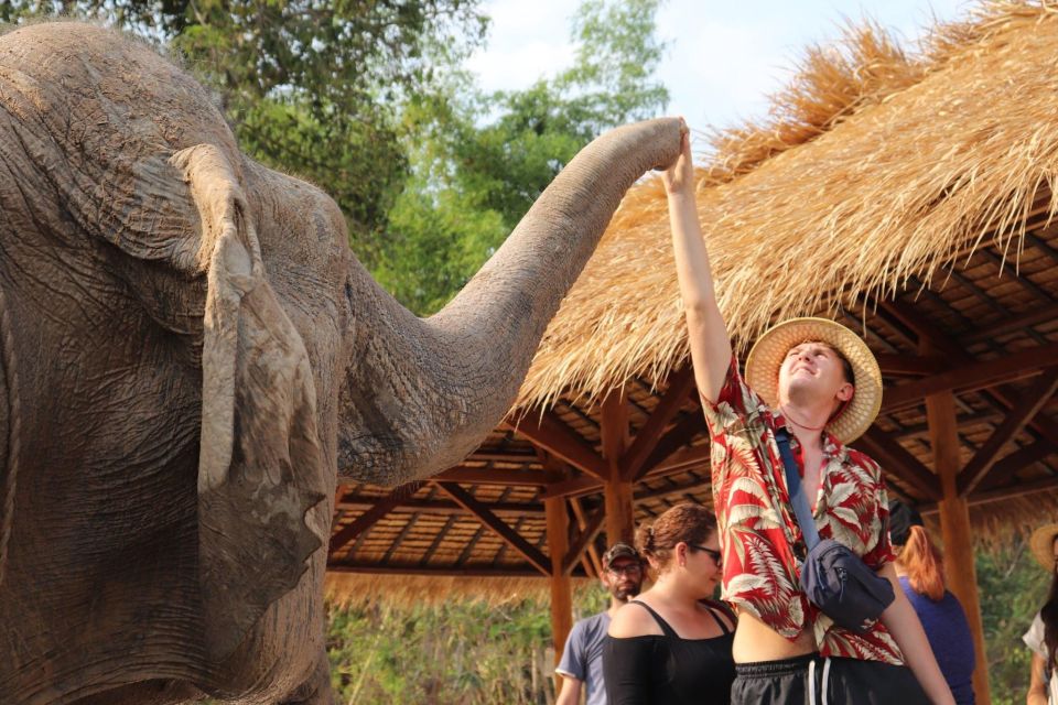 Siem Reap: Small Group Tour of Kulen Elephant Forest - Cancellation and Booking Policies