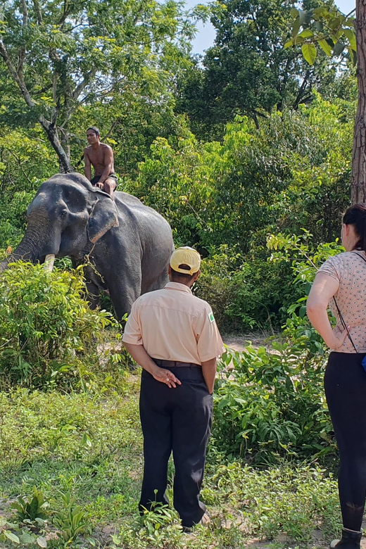 Siem Reap: Small Group Tour of Kulen Elephant Forest - Inclusions and Exclusions