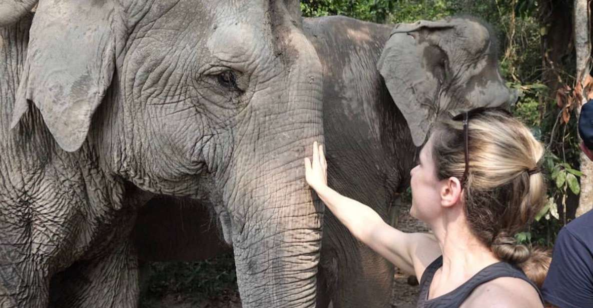 Siem Reap: Small Group Tour of Kulen Elephant Forest - Experience Highlights