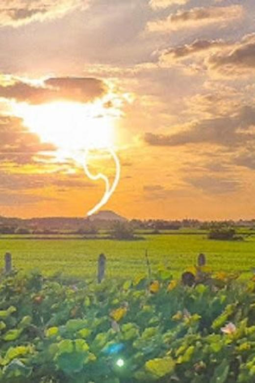 SiemReap Sunset Dinner Riding an Ox-Cart at Rice Paddy Field - Itinerary Highlights