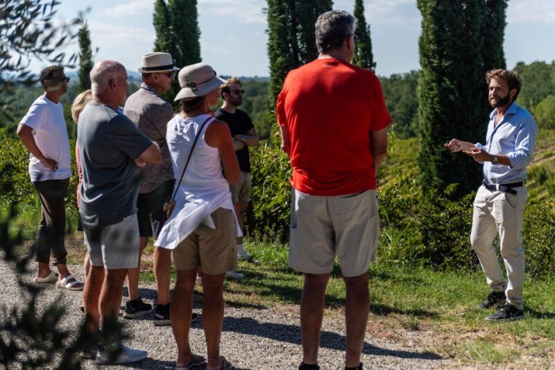 Siena: Winery Tour/Tasting With Owner/Maker of Awarded Wines - Booking Information