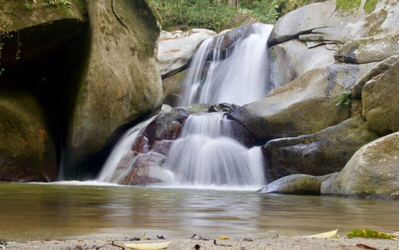 Sierra Minca Day Tour - Inclusions of the Tour