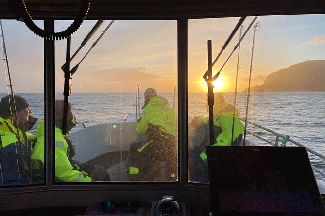 Sightseeing Around Nólsoy to See Puffins - Tour Capacity and Accessibility