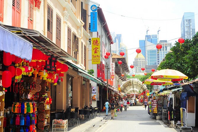 Singapore Panoramic Sightseeing Private Tour With River Cruise - Pricing Information
