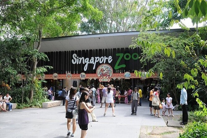 Singapore Zoo Entry Ticket - Ticket Pricing Options