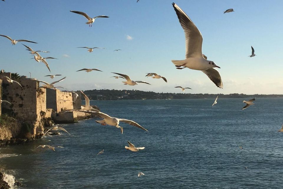 Siracusa: Ortygia Island Boat Tour With Grotto Visit - Highlights of the Tour