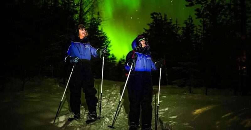 Ski Trekking Under the Northern Lights - What to Expect