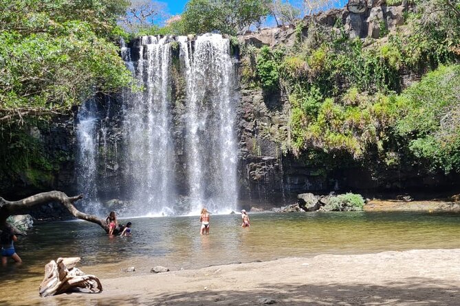 Sloth Farm Watching Tour & Amazimg Waterfall - Convenient Wildlife Experience