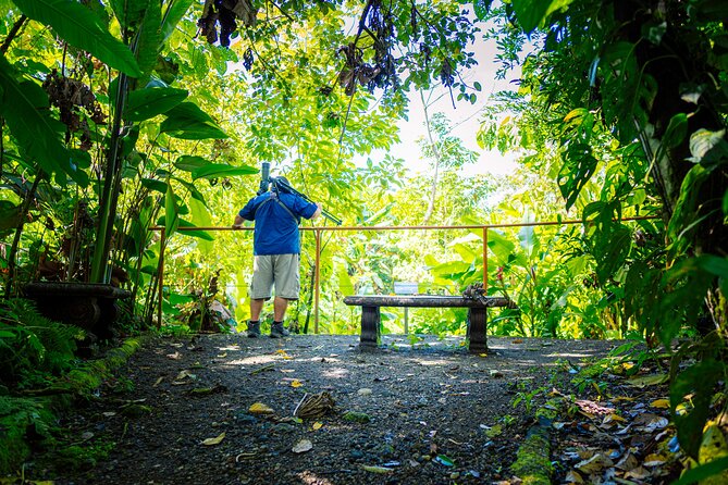 Sloth Tour in La Fortuna and Tortillas Cooking Class - Culinary Experiences