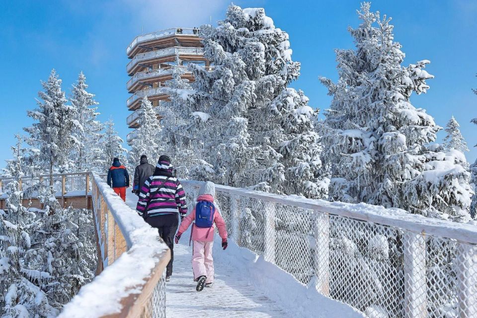 Slovakia: Treetop Walk & Thermal Baths From Krakow - Scenic Views and Pathway