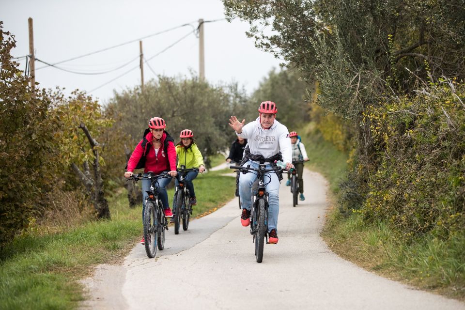 Slovenian Coast: Koper, Izola, Piran - Parenzana E-Bike - Pricing and Booking Options