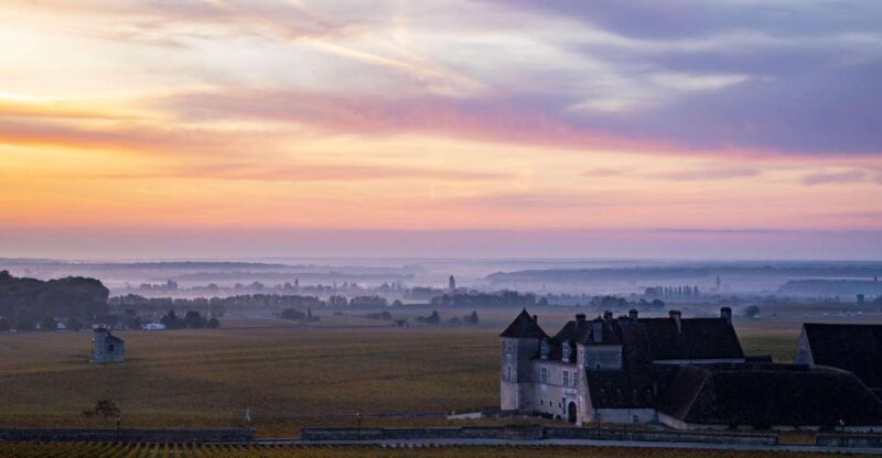 Small Group Tour Morning in Côte De Beaune - Wine Regions Explored