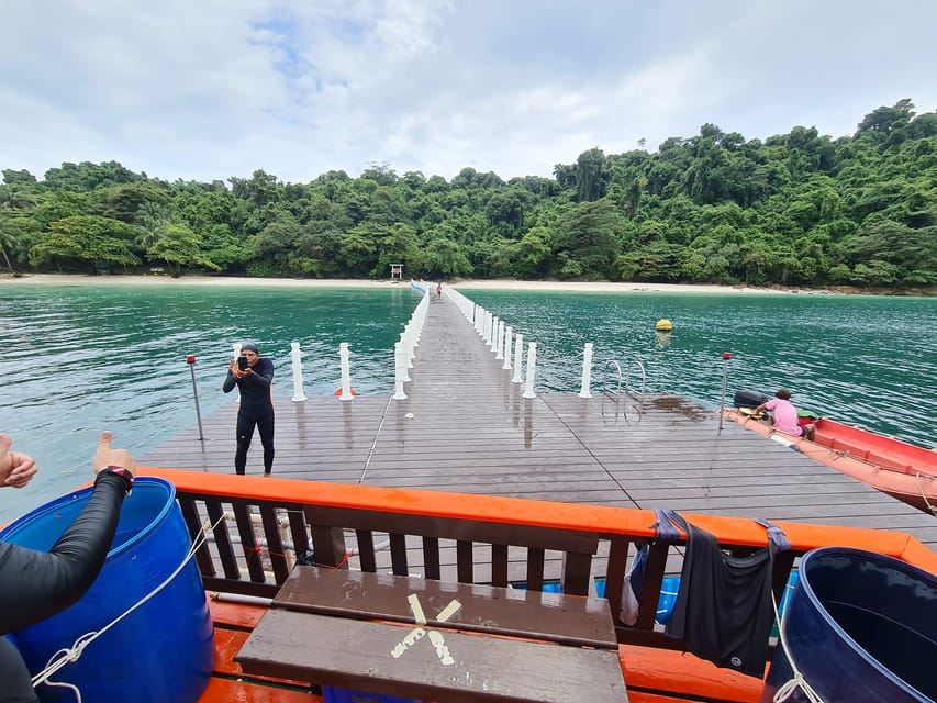 Snorkeling Course, Become a Confident Snorkeler. - Experience Highlights