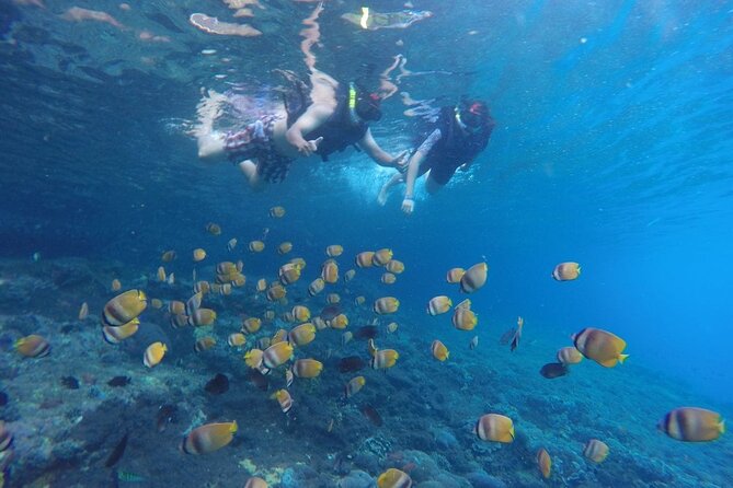 Snorkeling Manta Bay And West Penida Private Guided Tour - Snorkeling Locations