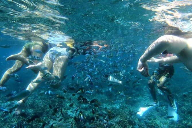 Snorkeling Nusa Lembongan - Snorkeling Trips With Manta Ray - Snorkeling Locations