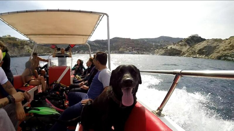 Snorkeling Trip With Motor Boat Around Agia Pelagia - Snorkeling Experience and Activities