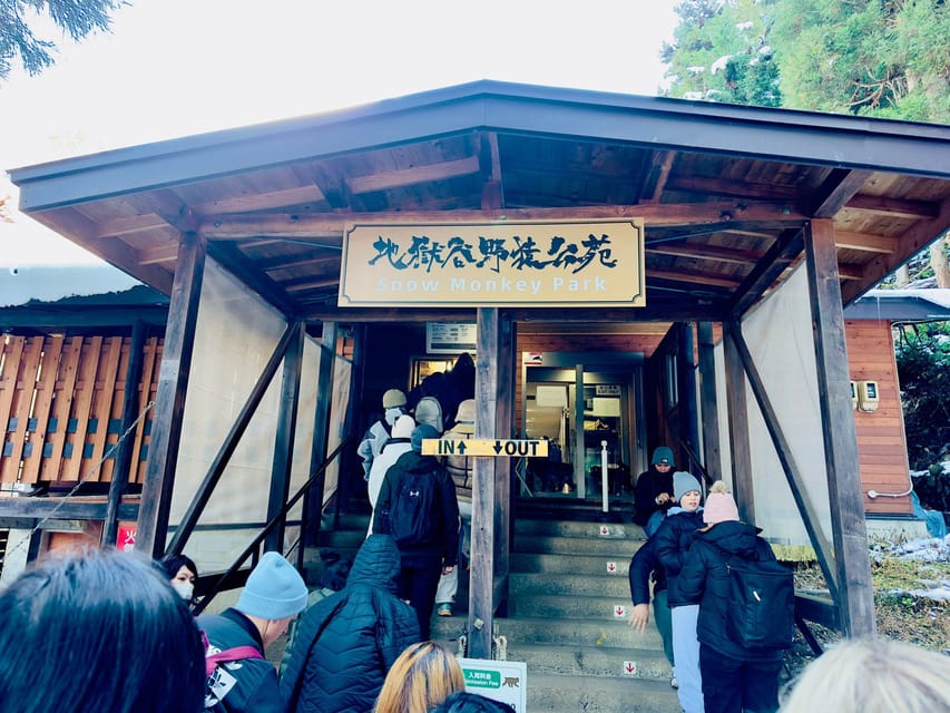 Snow Monkey and Zenko-ji Temple Nagano One Day Tour - Jigokudani Monkey Park Experience