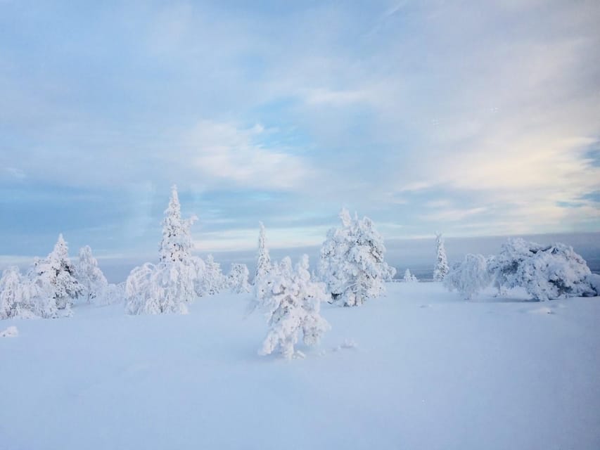 Snowshoe Experience With Traditional Beverages in Lapland - Highlights of the Adventure