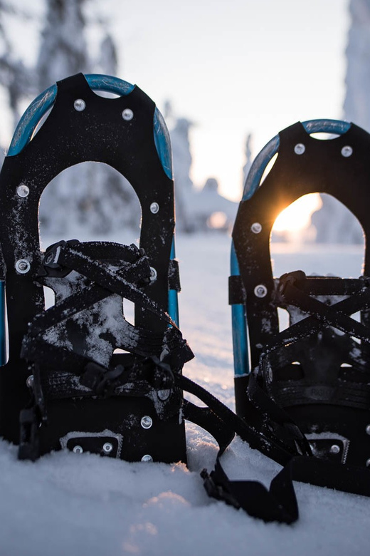 Snowshoeing in the Arctic Wilderness - Highlights of the Adventure