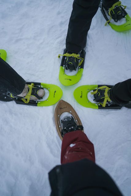 Snowshoeing in the Frozen Forest - Highlights of the Experience