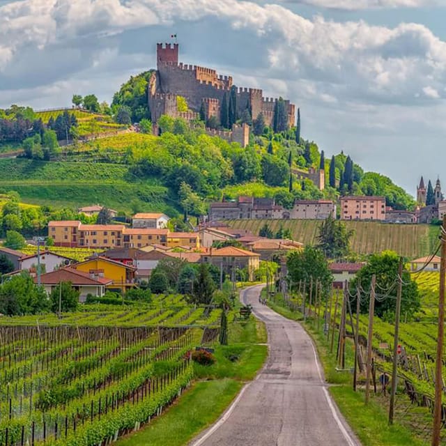 Soave by Bike, Olive Oil, Wine, the Countryside, the Castle. - Discovering Soave Castle